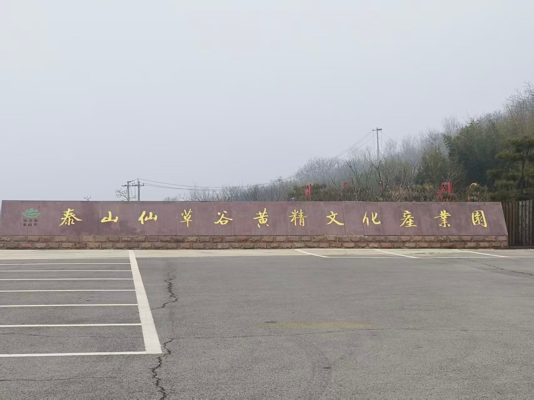 秦岭笑谈【巧手制本草，匠心传岐黄】——曲阜师范大学图书馆思乐泮水实践队投稿曲阜师