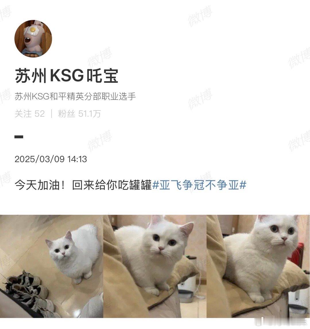吒宝[超话]  吒宝微博里的含猫量，啾咪晚上又可以加餐啦！pel常规赛第二周周决