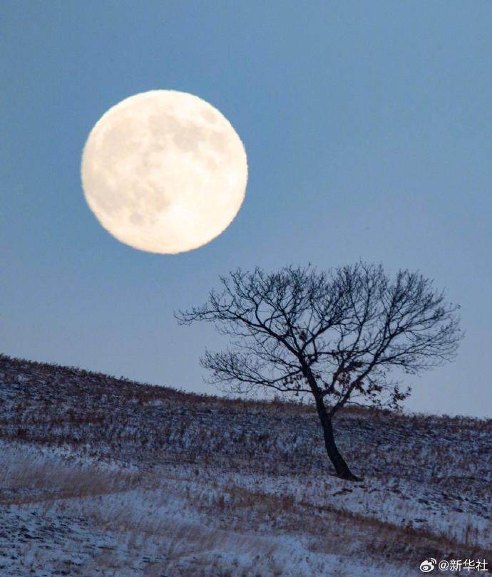 快看！2025年最后一次“超级月亮”现身夜空