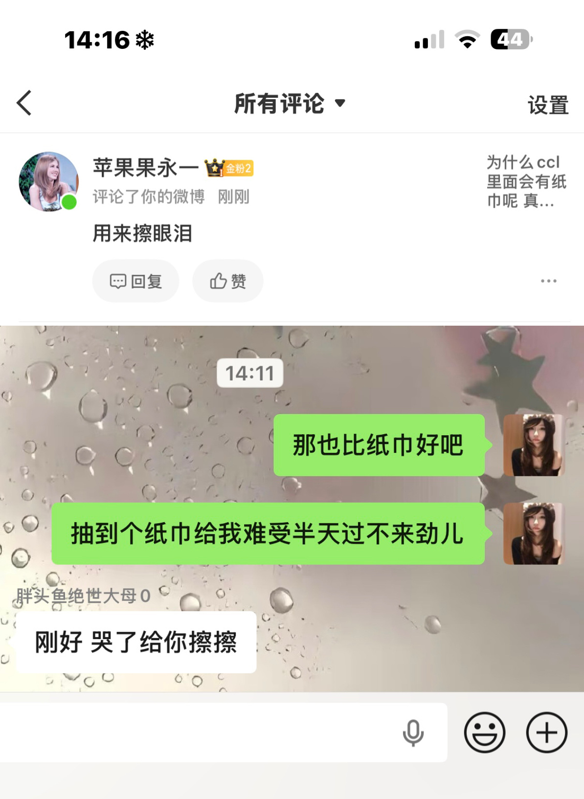 你俩欺负一只猫咪有什么意思