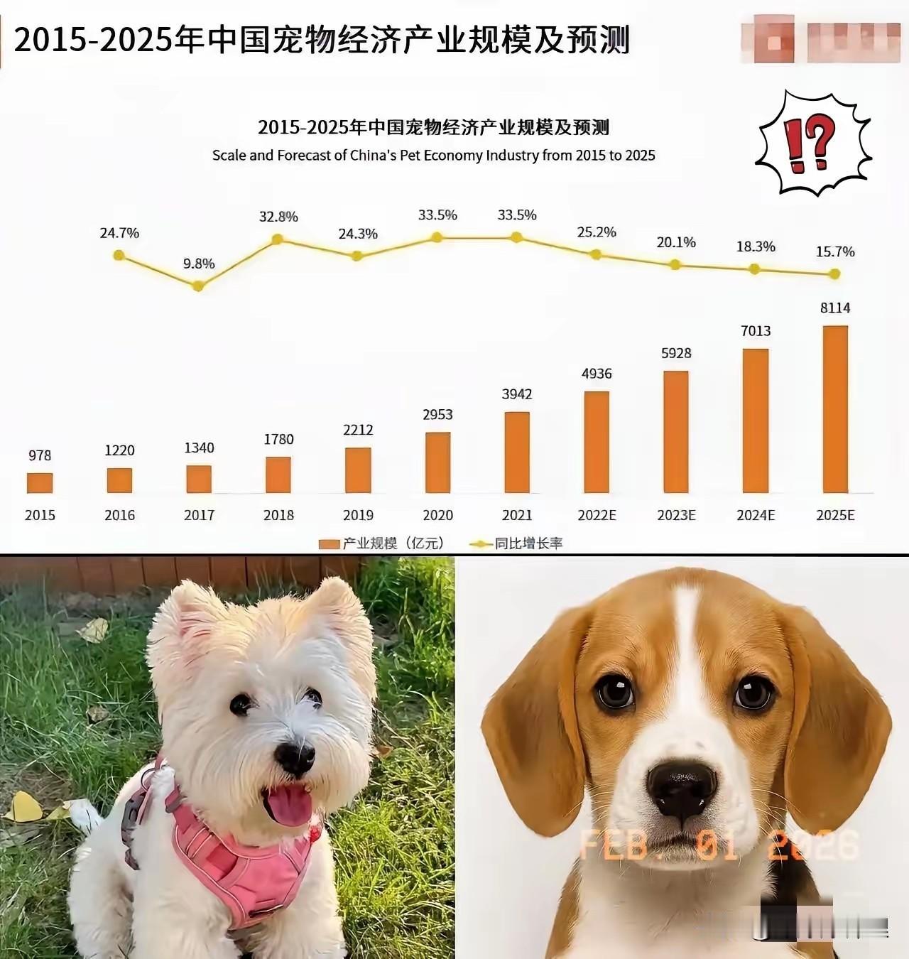 刚才去超市，前面排队的小姑娘买了一堆进口狗罐头，结账三百多。

一看自己手机余额