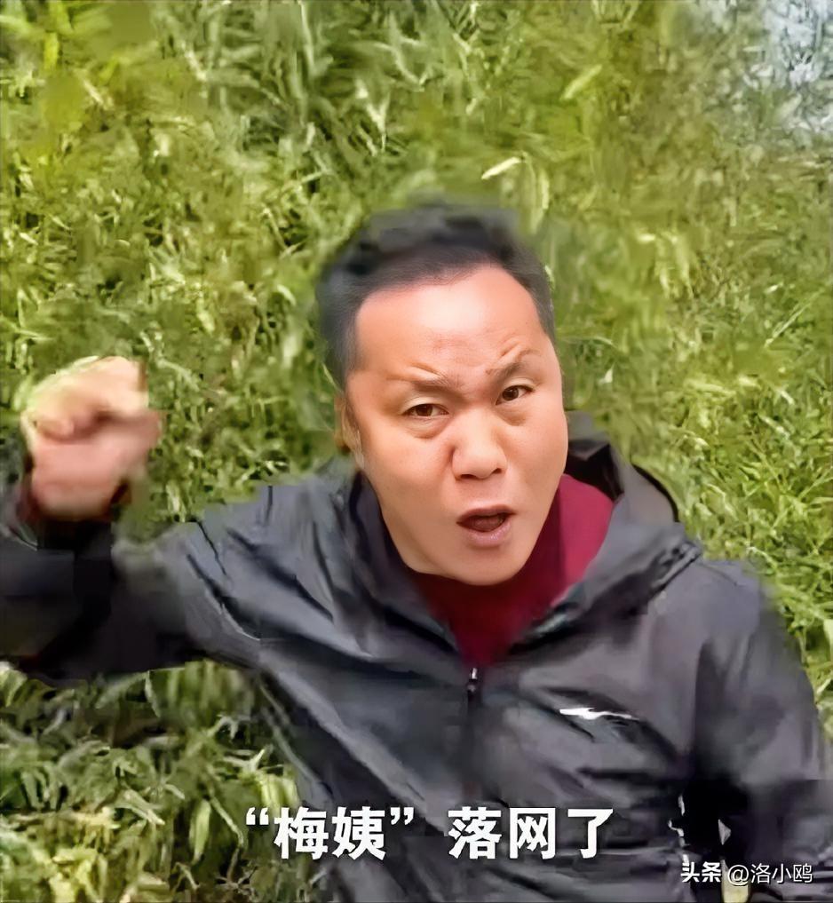 如果你知道了这个故事，你也会跟杜爸爸一样，激动到手发抖。

梅姨经手的9个孩子里