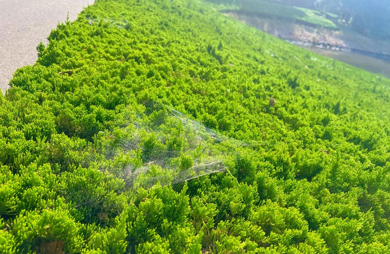 刘震云：
旅游其实并没有太大的意义。生活的精彩，从来不在别处，在你用心感受的当下
