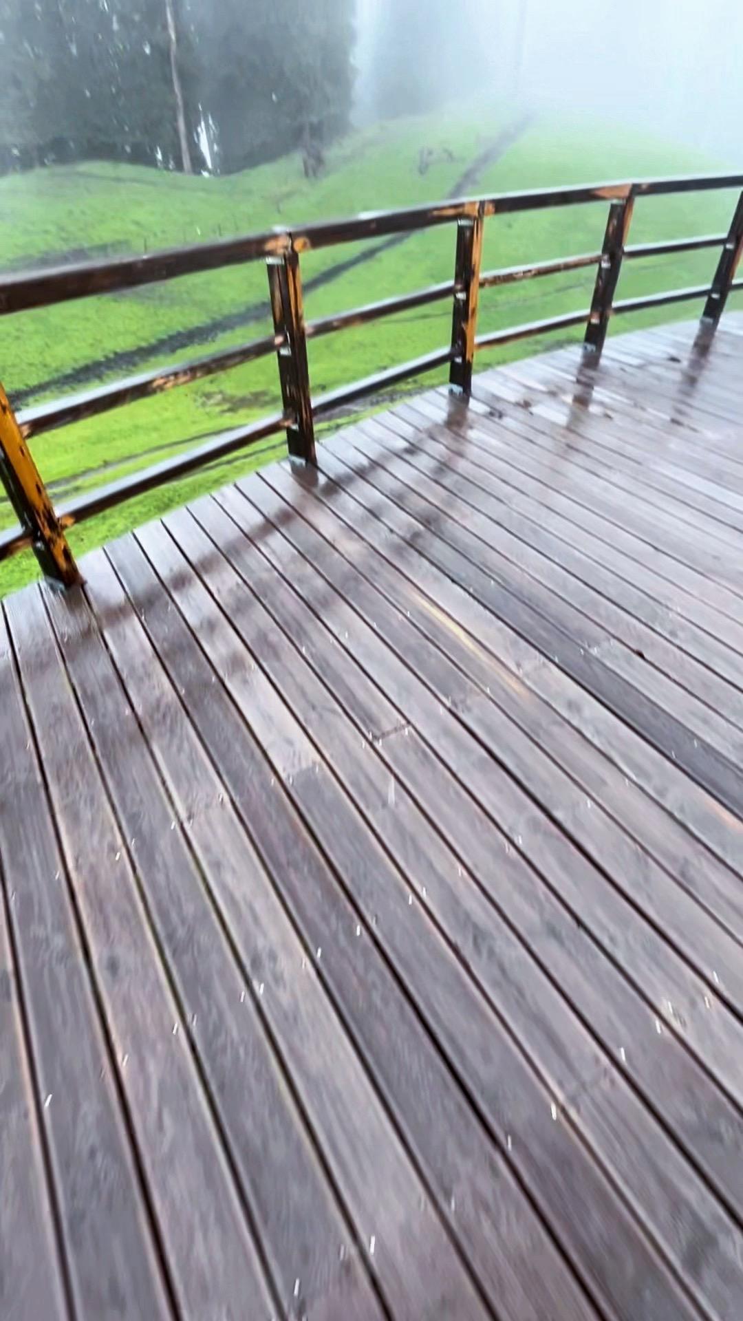 多权威的追踪发现 不合群的人大多都很聪明 悟性非常高，能看见常人看不见...