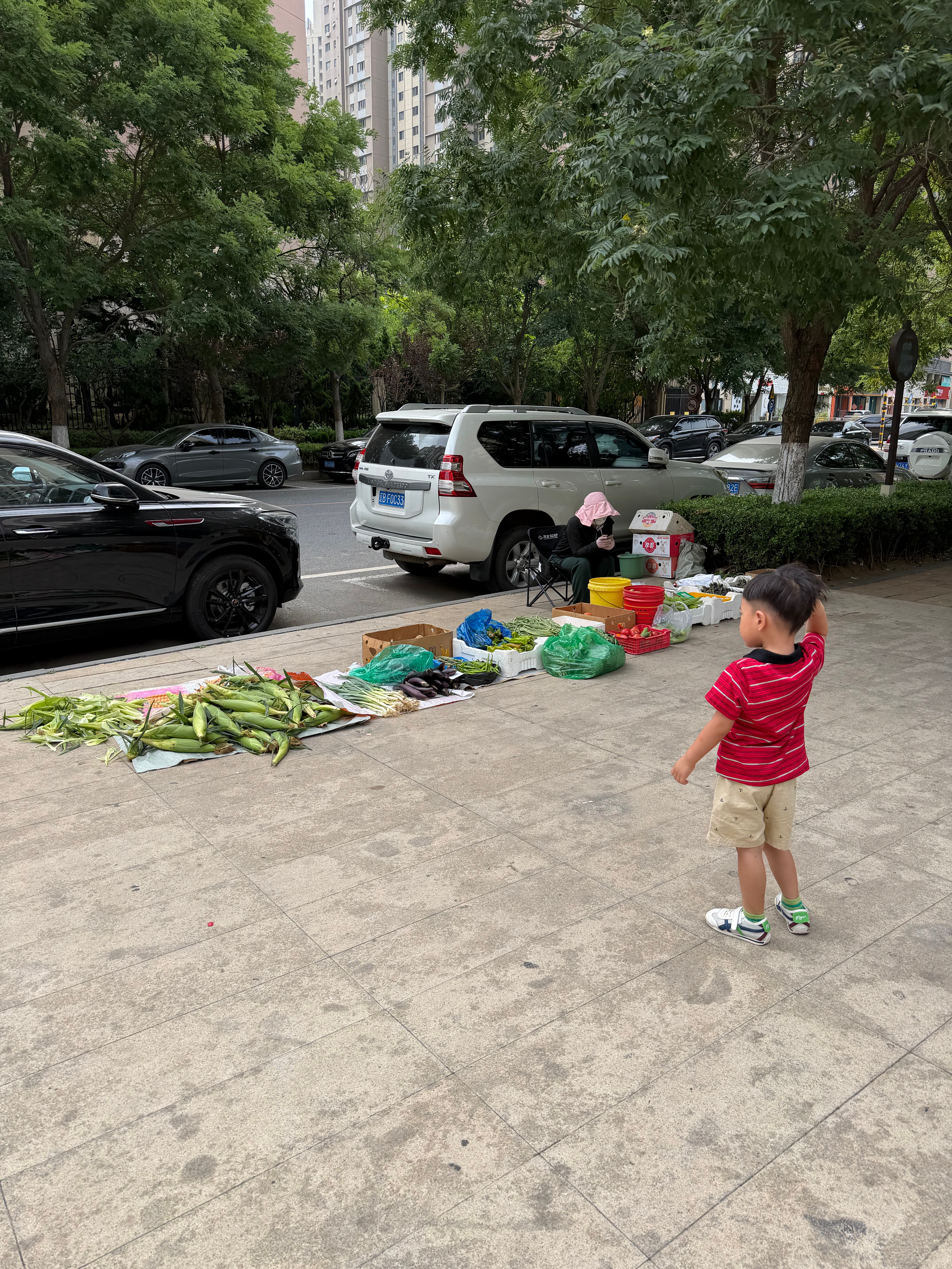 立秋后的大连！立马凉爽了趁着孩子还没开学前欢迎大家来大连旅游对了9月10月也可以