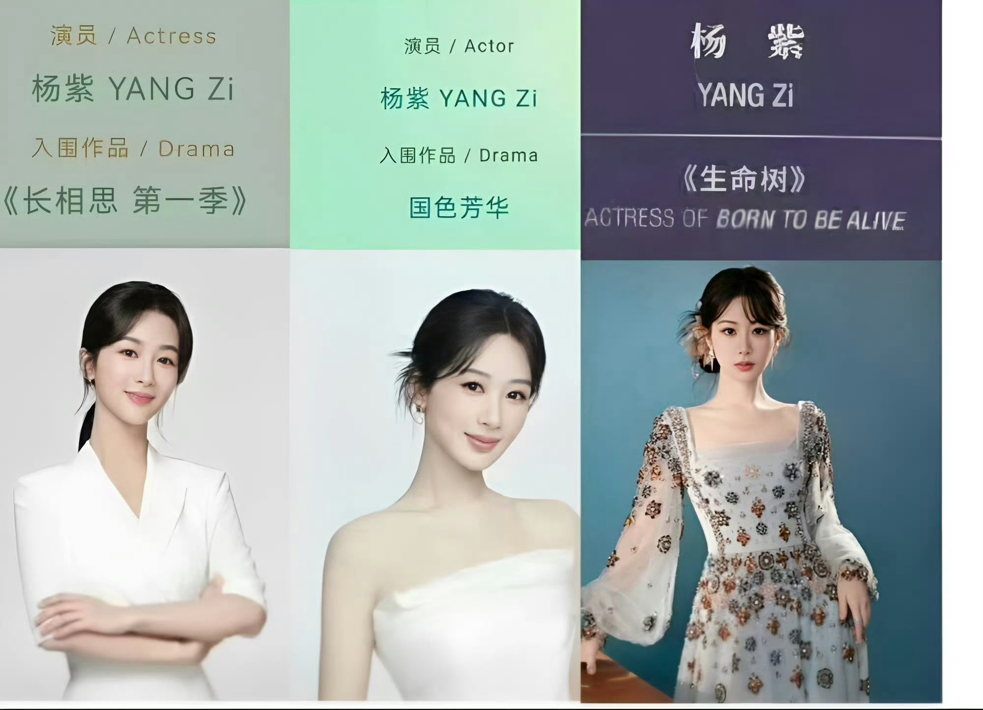 白玉兰场刊组委会写的不提荣誉，只谈作品！ 