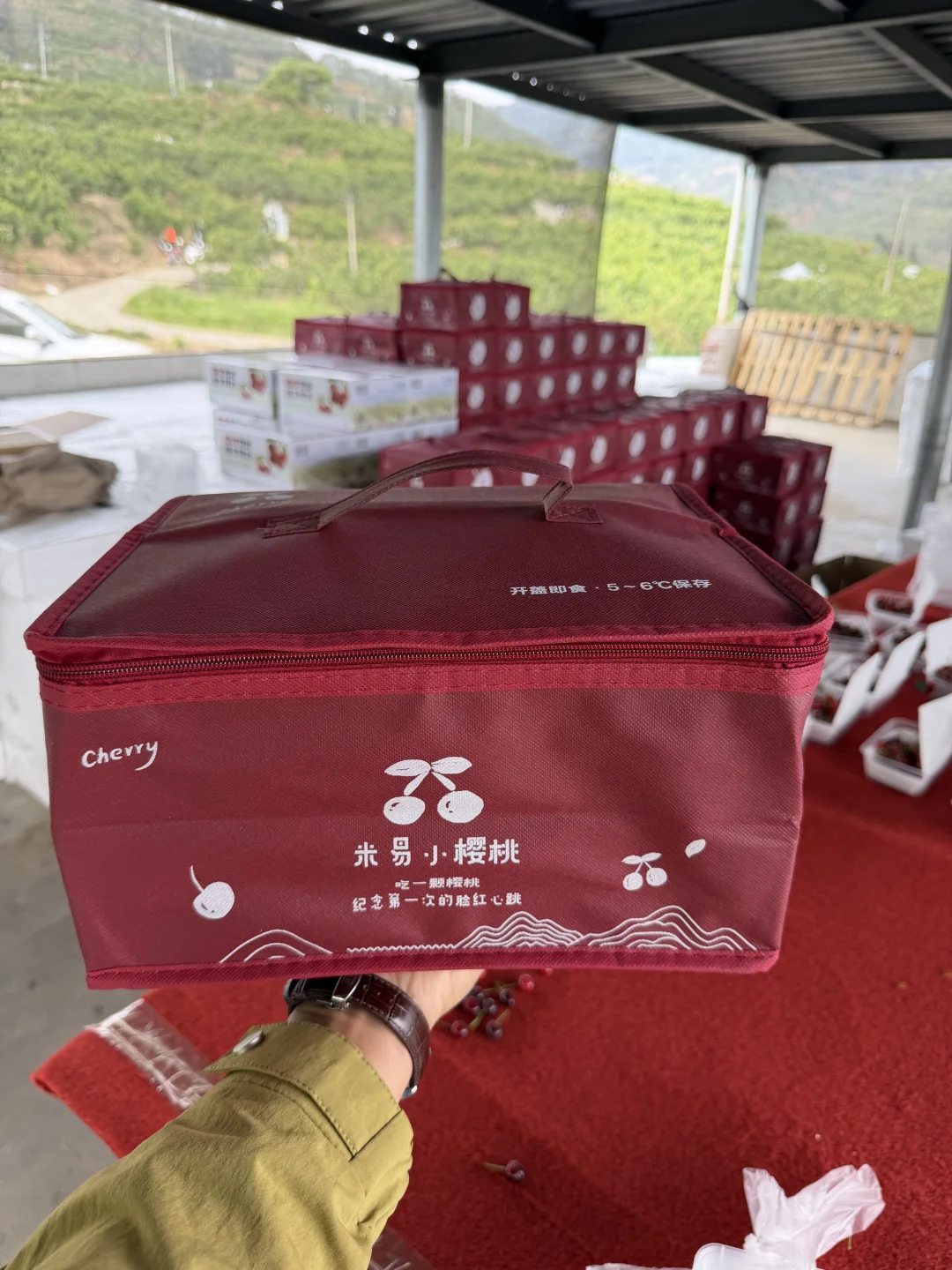 降价啦，60多一箱玛瑙红纯甜小樱桃。顺丰空运