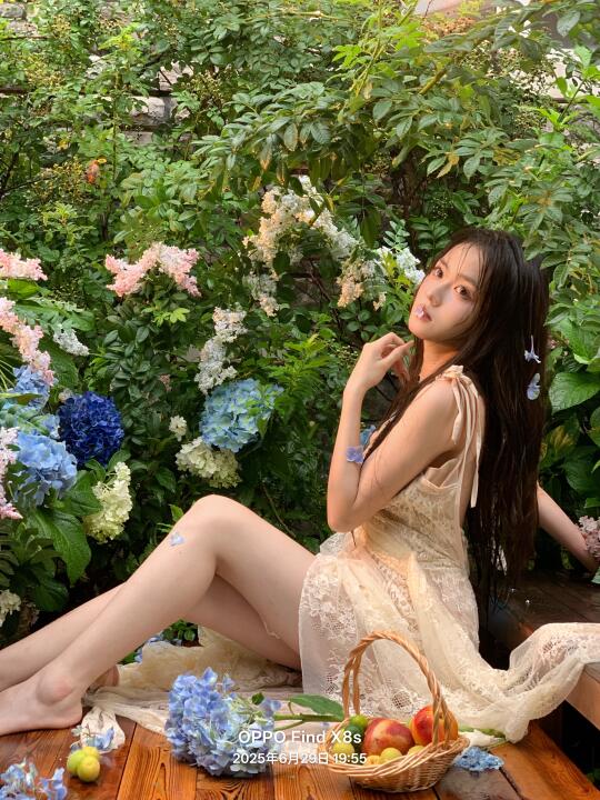 花开无尽夏
