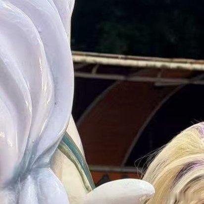 0000山坡上的野蔷薇，春天冒芽，夏天抽枝，秋天结籽，冬天落叶。它从不说“我要快