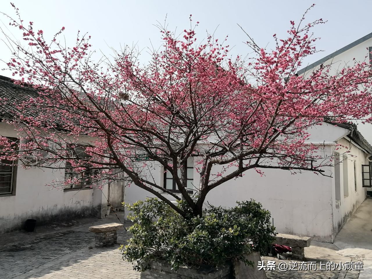 前几天希望大家购置黄金，听进去的应该赚了些，在经济环境不好情况下，经济大国自然想