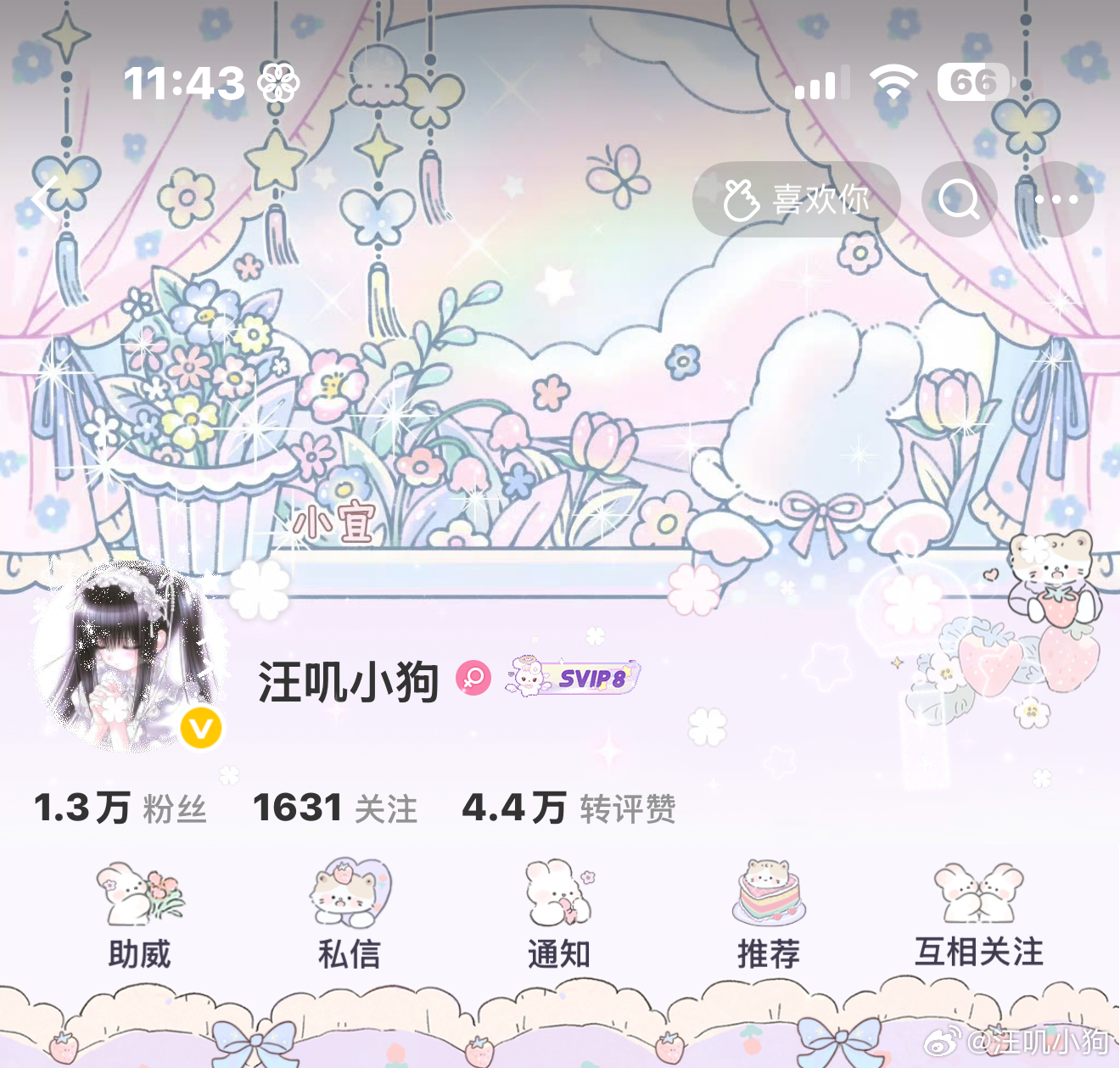 小狗的OOTD⁰̷̴͈ᴥ⁰̷̴͈