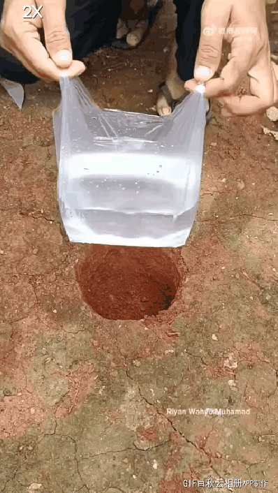 解决了旱地淹不死的问题是吧[捂脸]