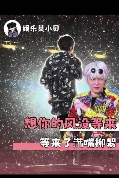 为什么老薛的演唱会总会遇到各种奇怪的情况啊，这柳絮估计都能吃饱了。柳絮：不白来都