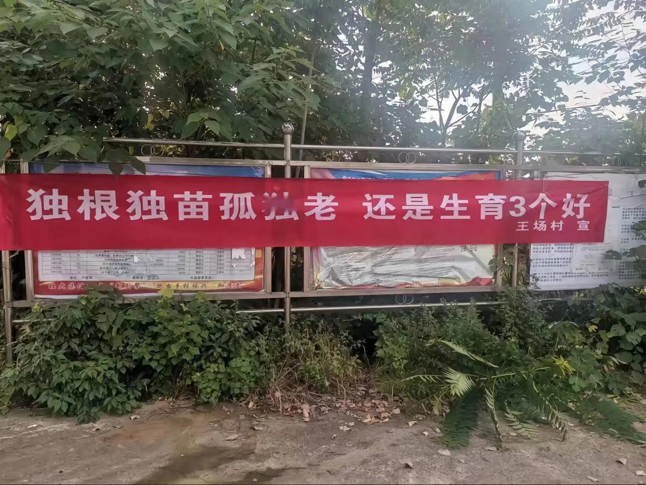 二胎少三胎好，小有伴老有靠
只生一个好，国家来养老
那句标语好？


#三胎那些