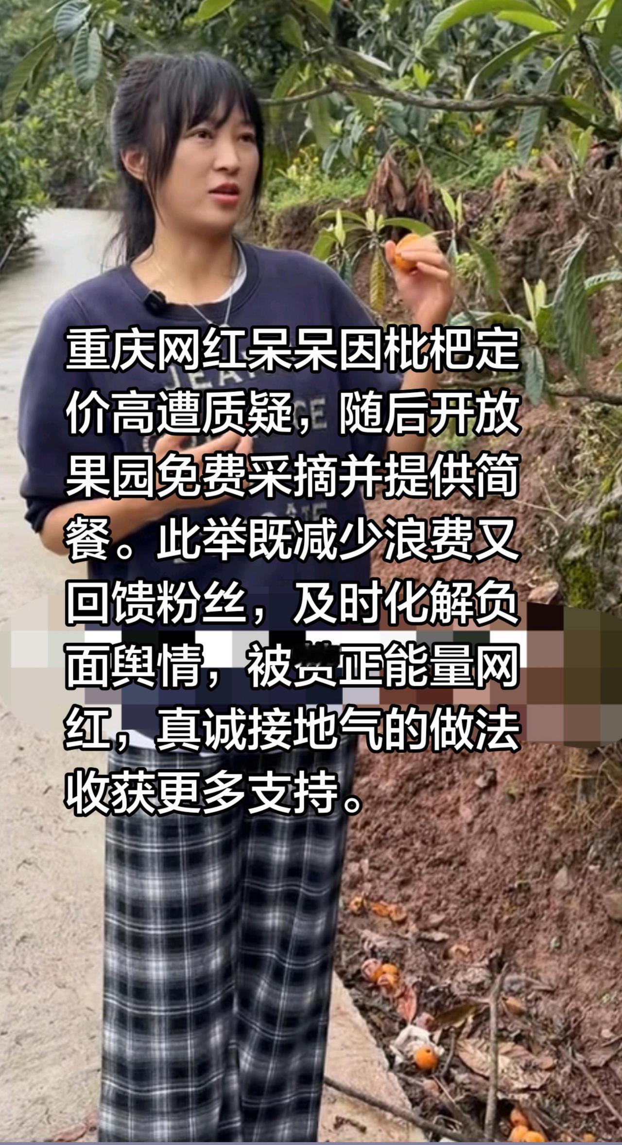 重庆呆呆免费开放枇杷园，及时化解舆情！重庆网红呆呆因枇杷定价高遭质疑，随后开放果