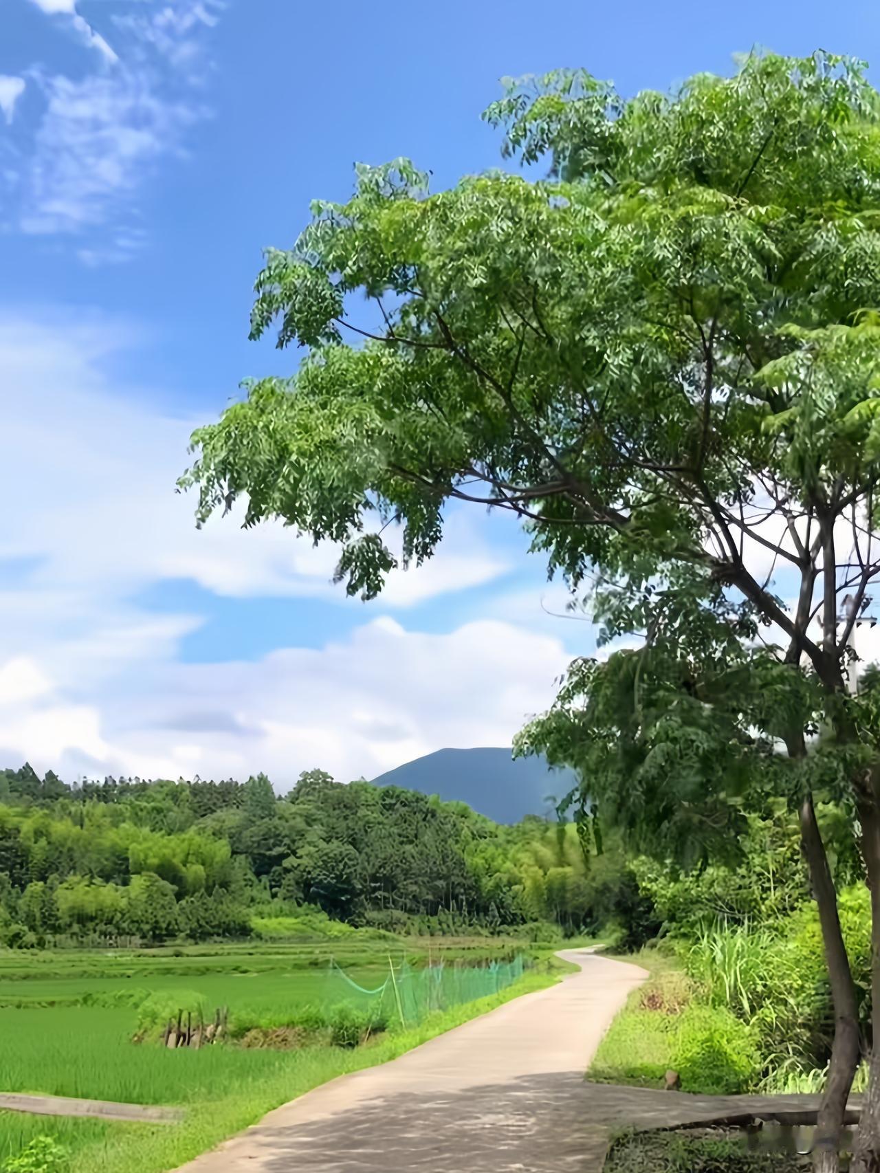 人这一辈子

生活在农村的，

不得不远离家乡谋幸福。

村路通了，

车子能直