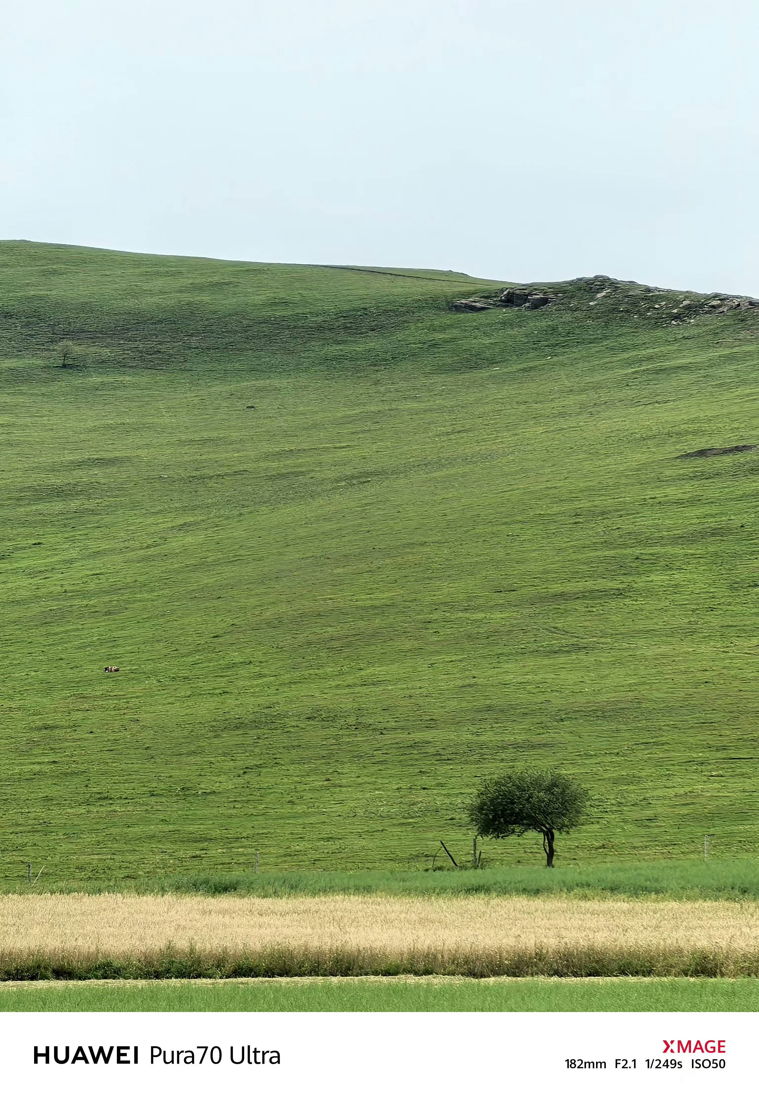 我的Pura70Ultra 退役了 ,但Mate70Pro+还在战斗，因为又买了