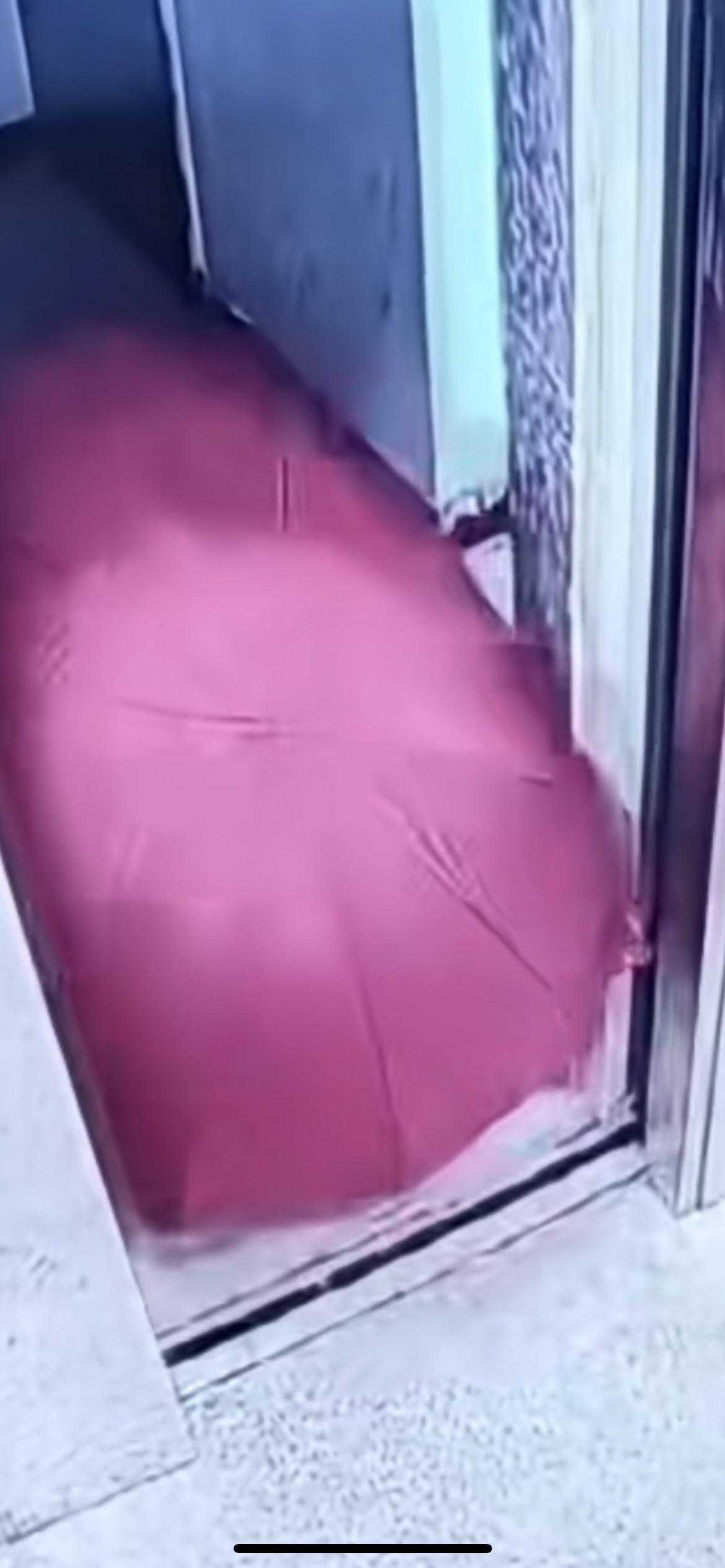 11月20日，顾客让骑手把餐放电梯，用伞遮挡监控自取后称没收到，并申请退款。网友