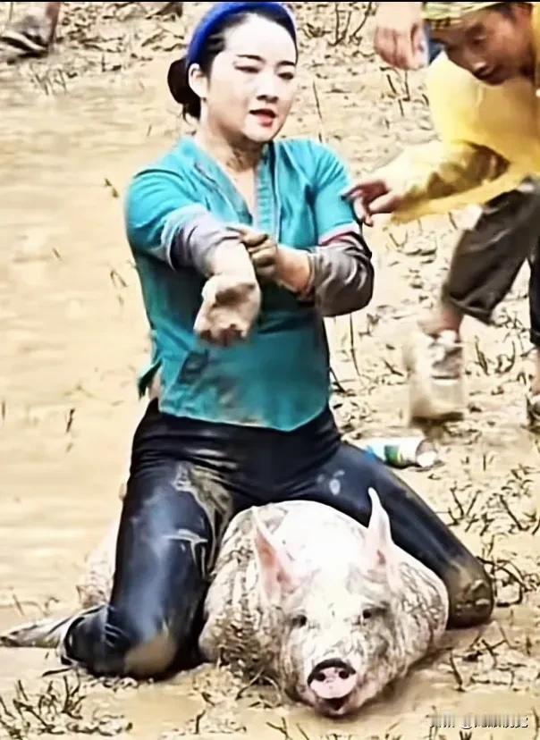 “农村生活趣事：抓猪记”🐷🌾😂抓猪视频