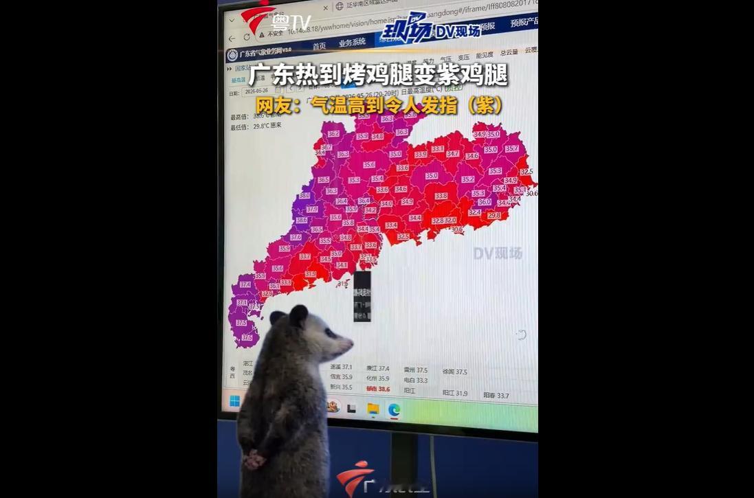 2026年5月底，广东遭遇史无前例极端湿热高温天气，高温预警地图从红色红烧鸡腿升