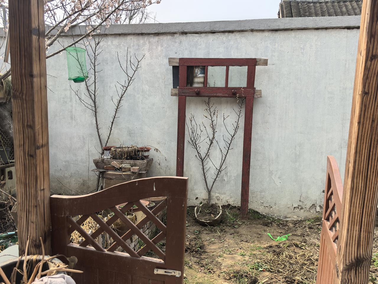 春日生活打卡季一年四季在于春，我己回家种菜去！去年退休后，我就回到多年没住人的农