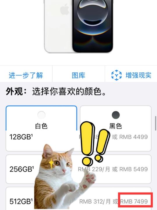 谁说是价格亲民的iPhone，这都7499了！