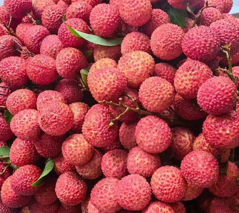 荔枝