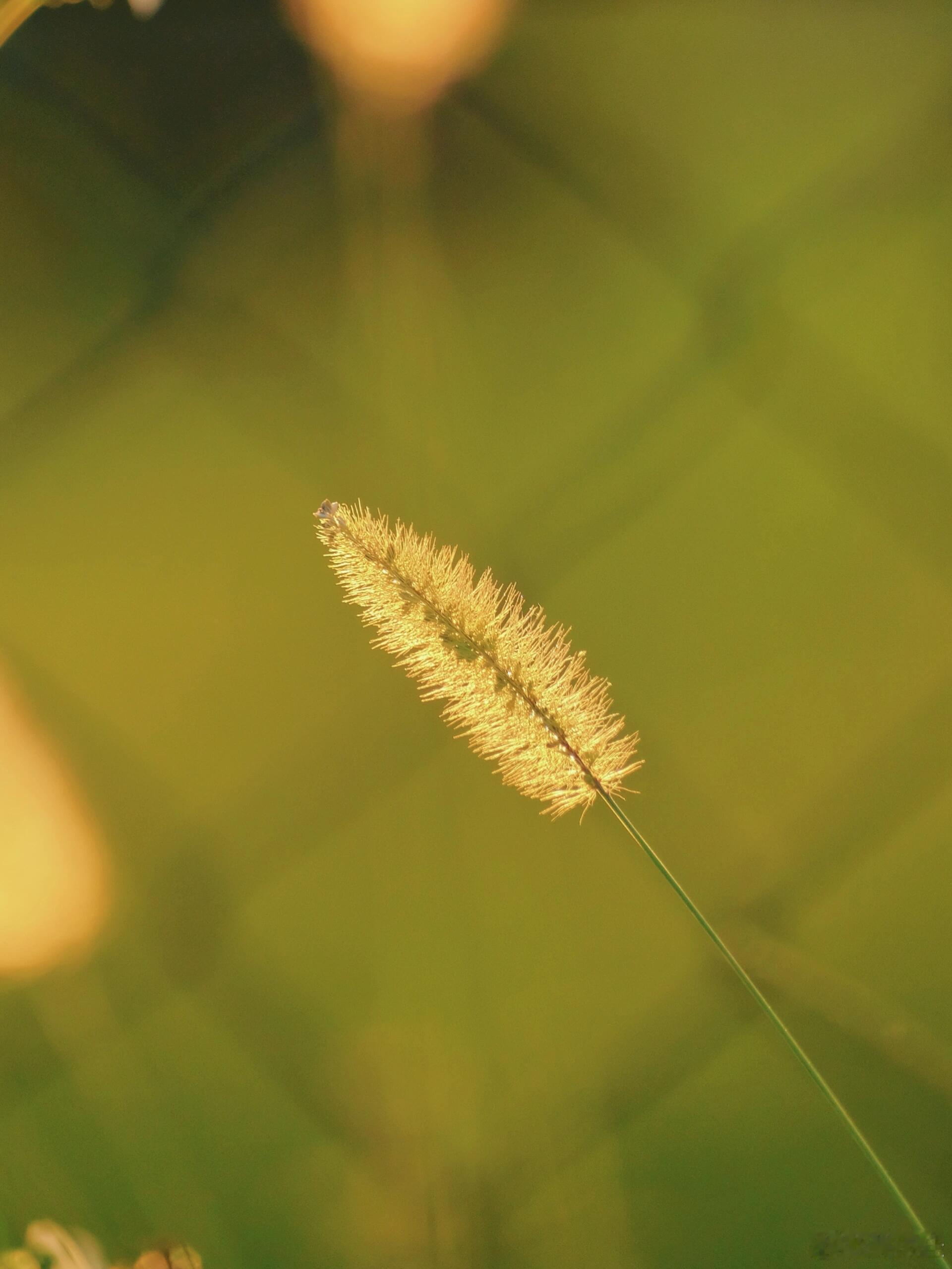 敏感的人总要承受双倍的难过，是一瞬间快碎掉的感觉，眼泪会没有感情的掉下来，情绪崩