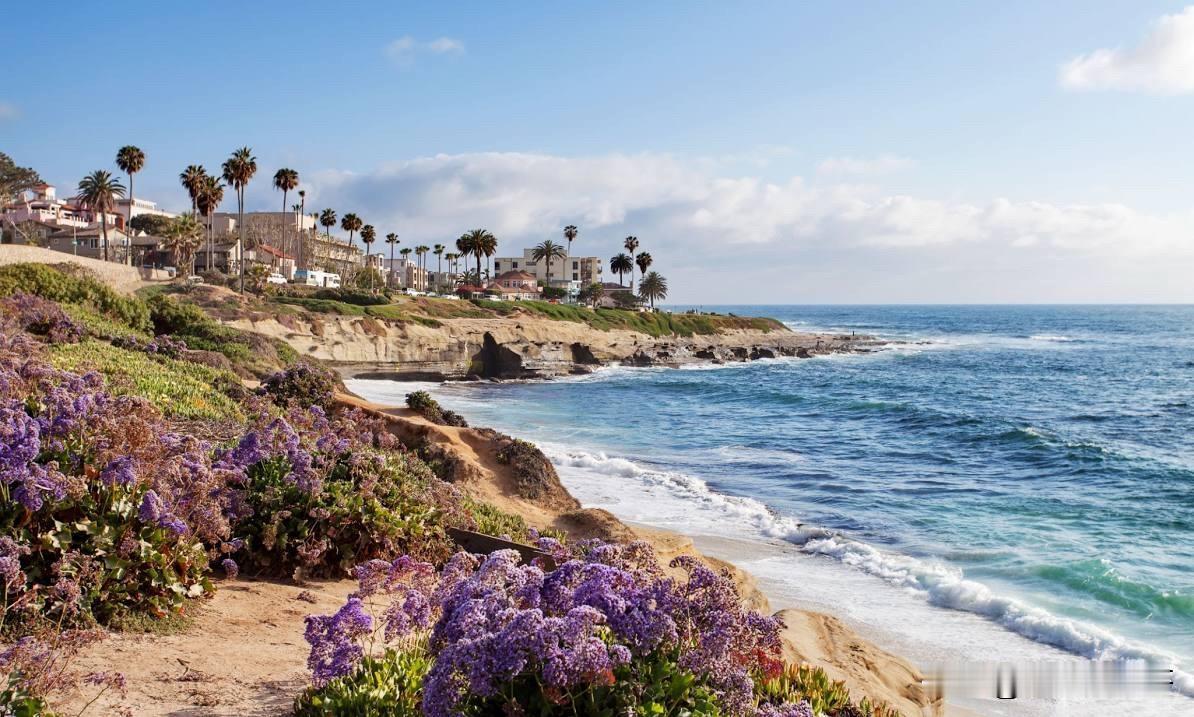 南加州部分地区空气质量警报生效，禁止燃烧木柴。


     自12月19日开始