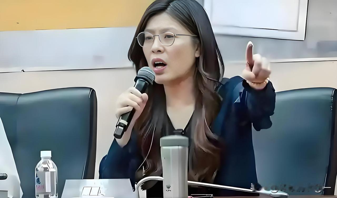 郑丽文6月8日在一场座谈会上声称，“改善两岸关系不代表台湾会放弃自身吓阻能力，国