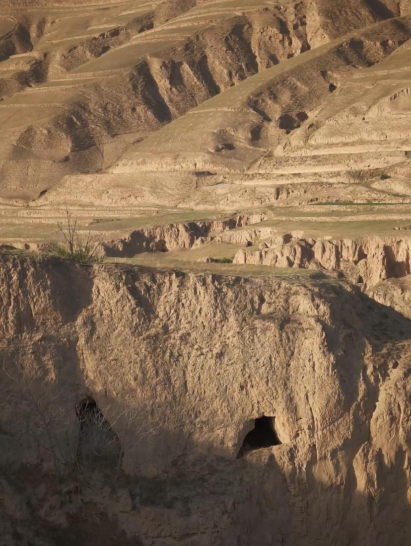 我也算是死过一回的人了。
小时候在村子里玩，
那时候真的是胆子很大。
村子里有很