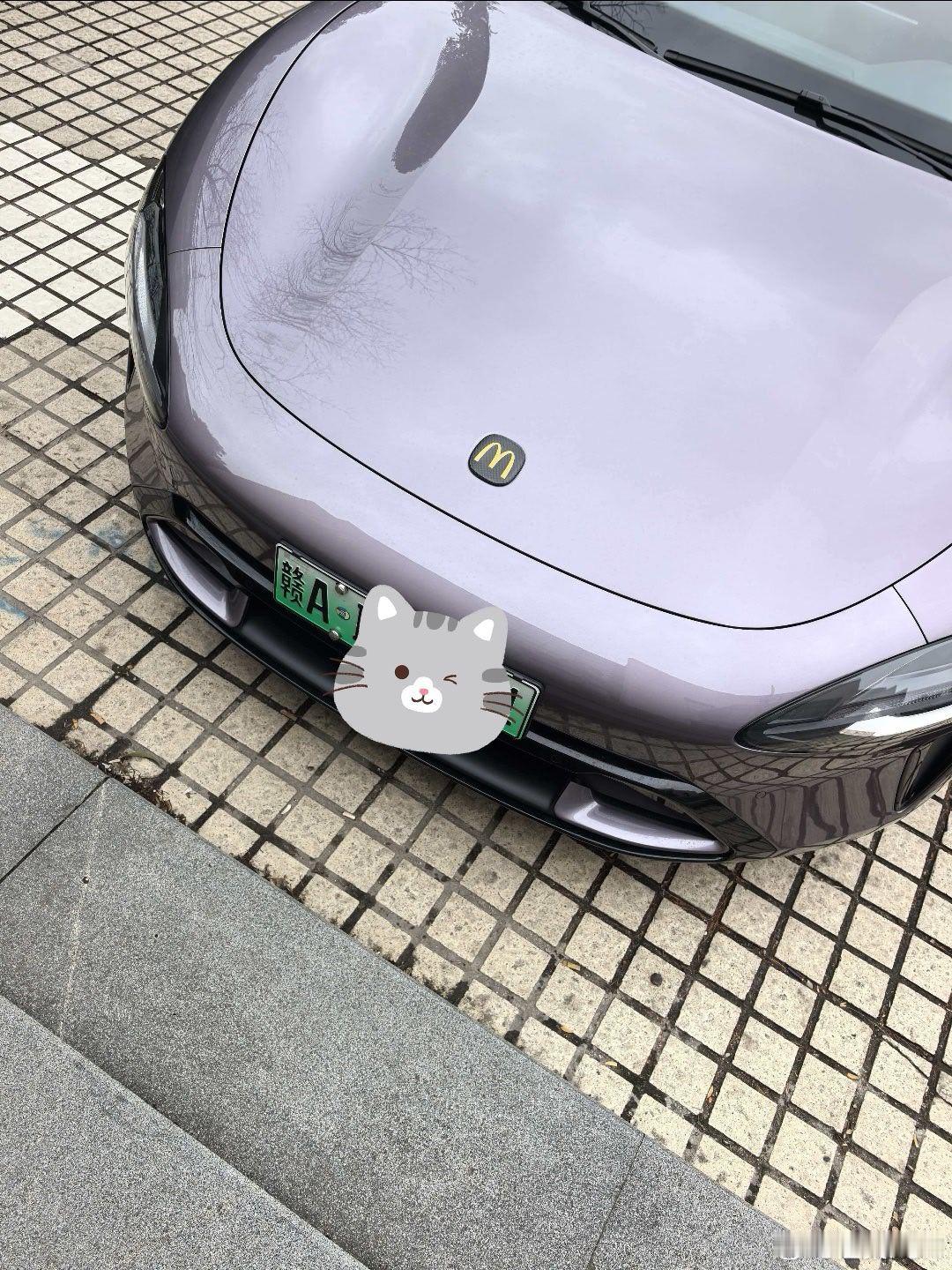 这个小米车主把我笑死，车标居然是麦当劳，也对哈，都是M开头！