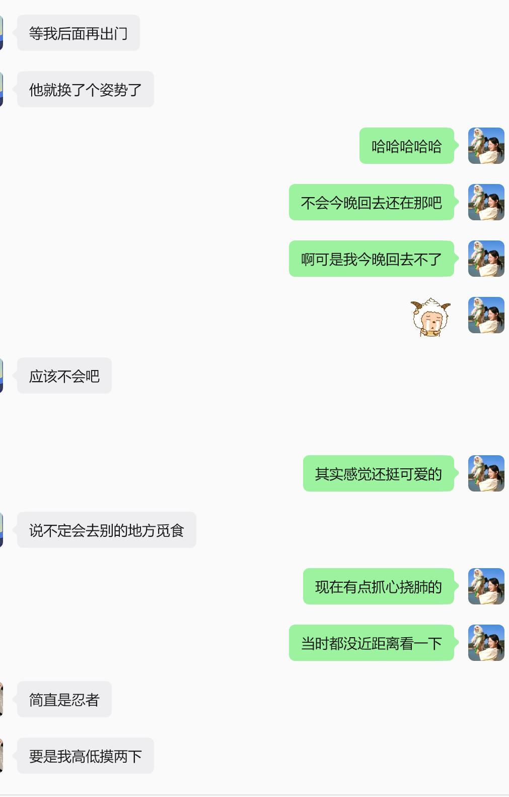 啊啊啊啊啊啊好后悔当时被吓一跳又赶着上班就没近距离摸那个奶牛猫，今晚公司团建又不