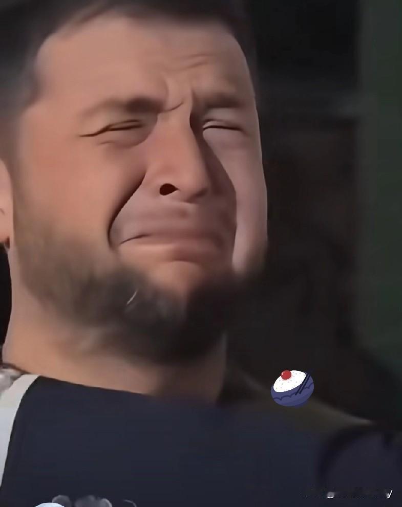 快讯!快讯!

泽连斯基：大错特错！

乌克兰不需要“软弱的和平协议”！

1月