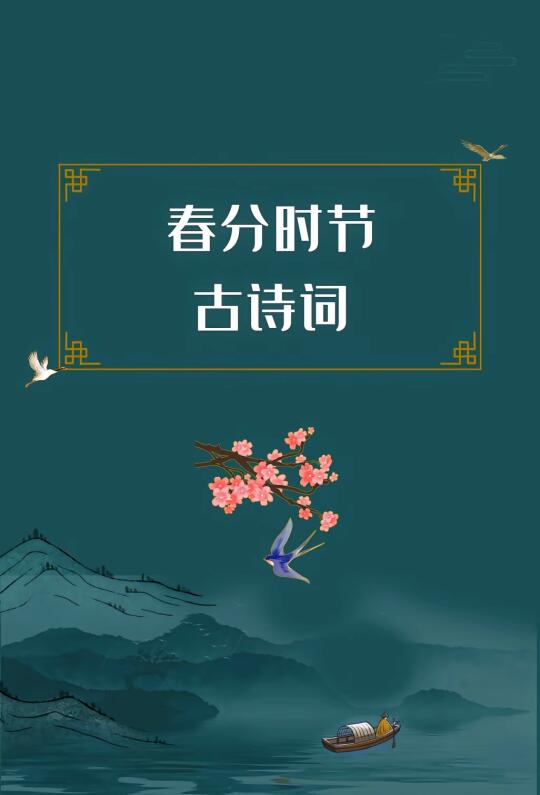 第297集丨春分，一年中最美好的季节到了。