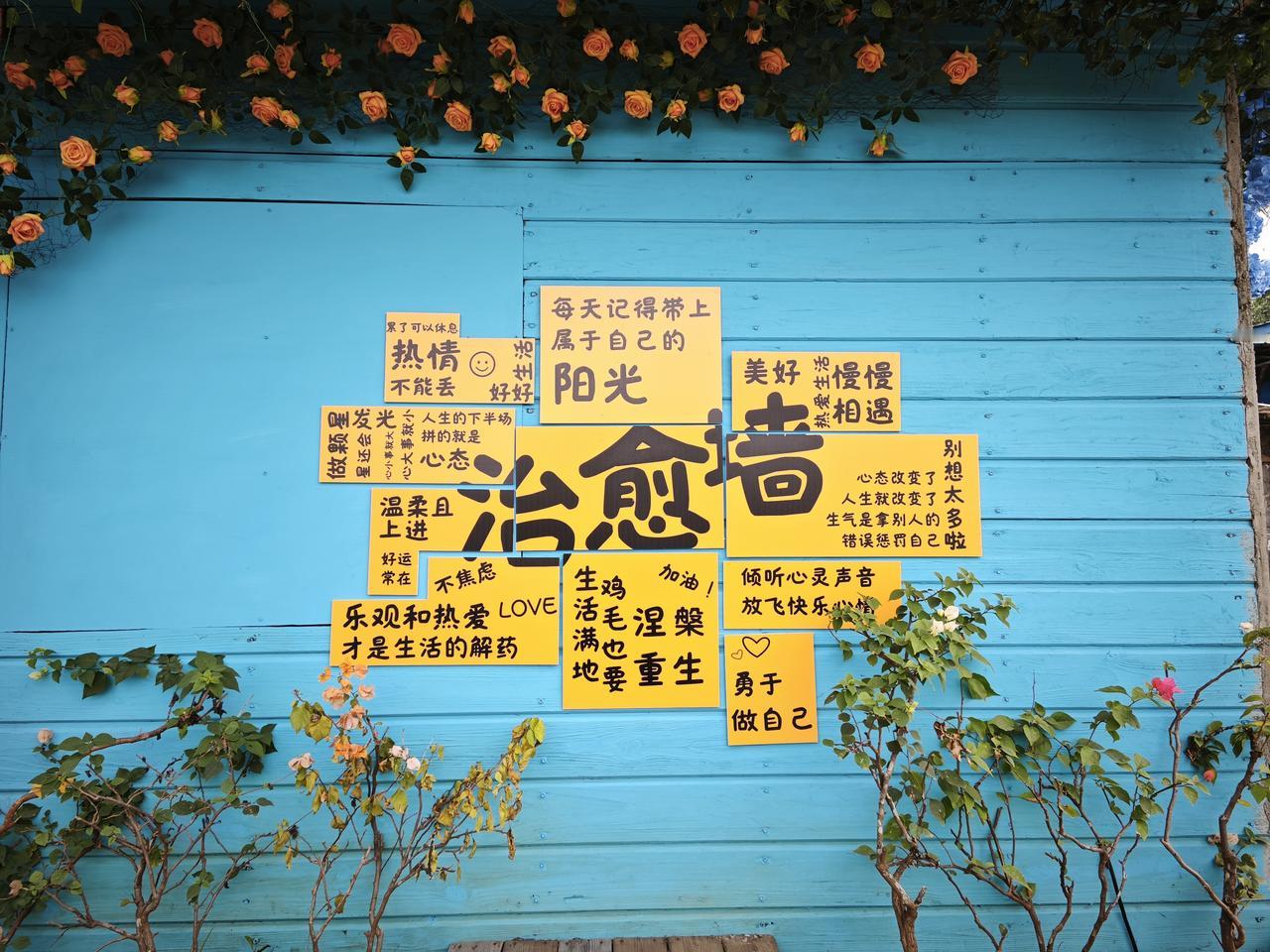 分享你随手拍的风景这面贴满黄色便签的蓝色治愈墙，每一句都是生活的温柔注脚，像阳光