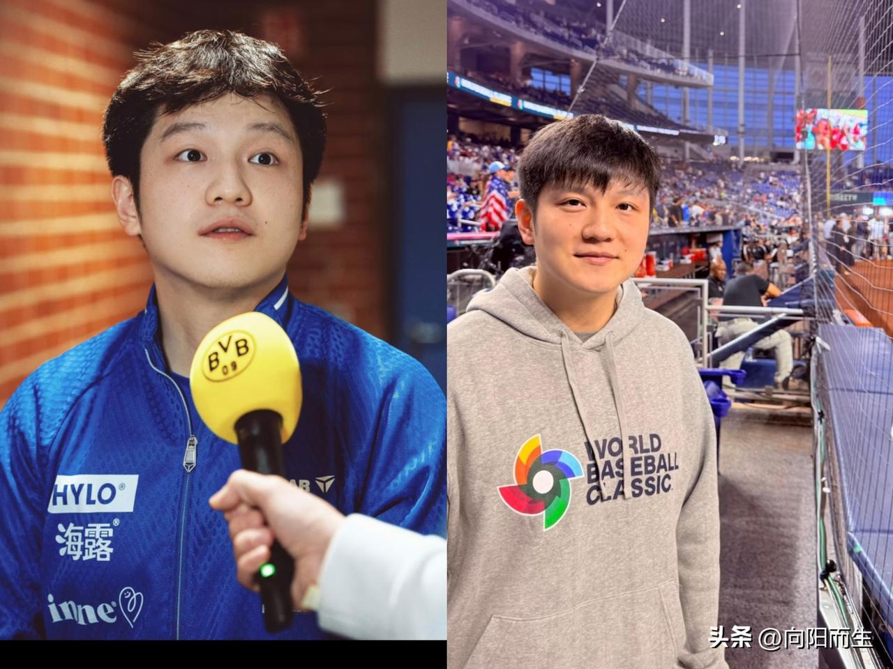 樊振东的技术绝对是，
世界乒坛天花板水平，
堪称现役最全面的运动员！[鼓掌]
 