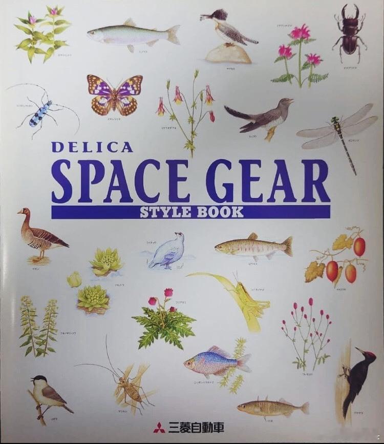 vanlife  1998 Mitsubishi Delica Spacegea