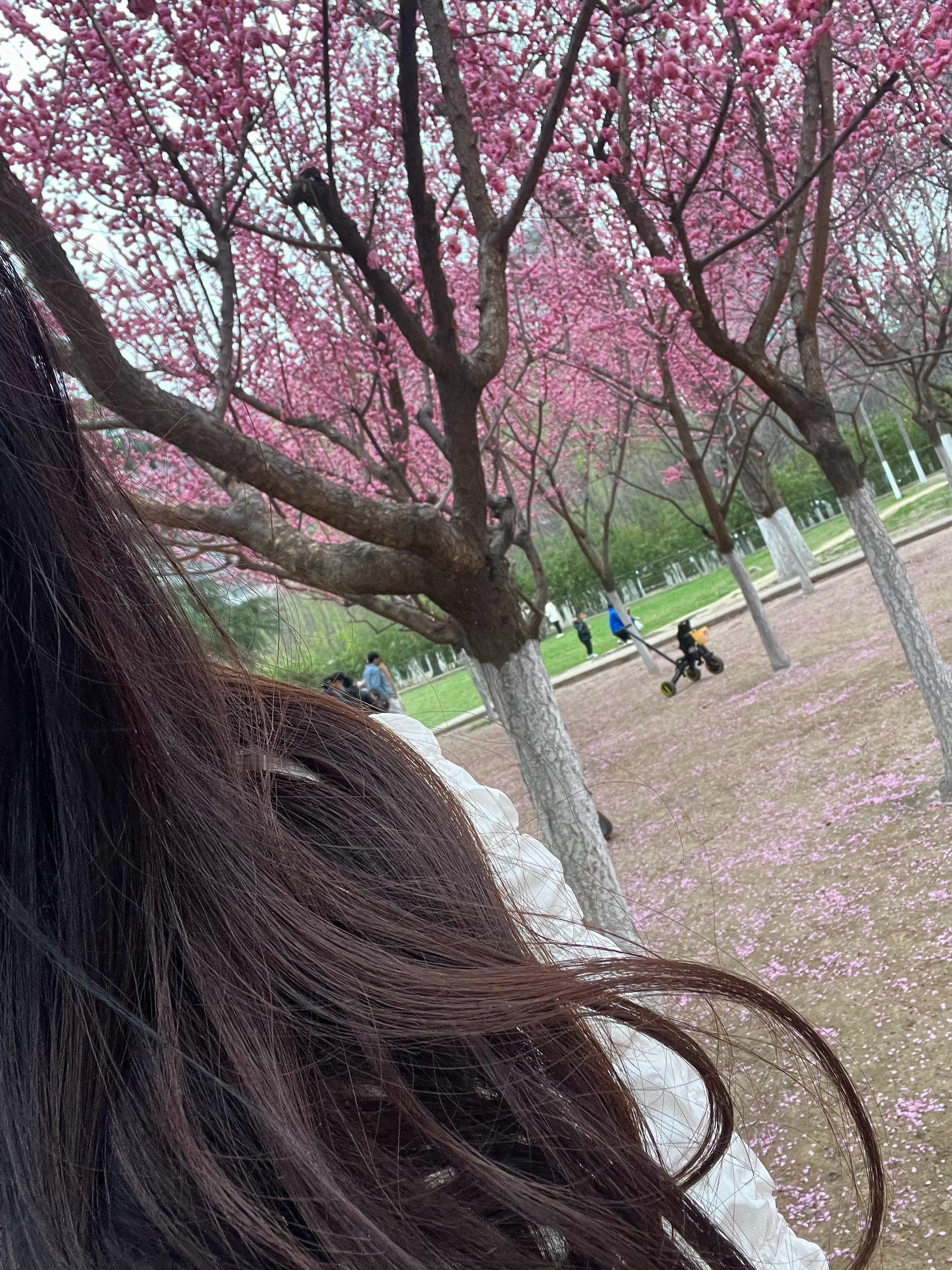 像我这样的女生 你走在路上会多看两眼吗[喵喵][馋嘴] ​​​