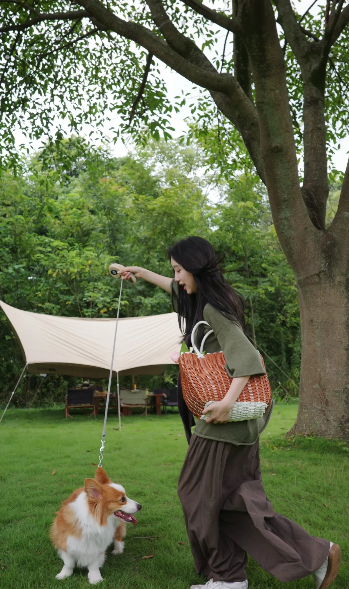 小狗到底在想什么呢