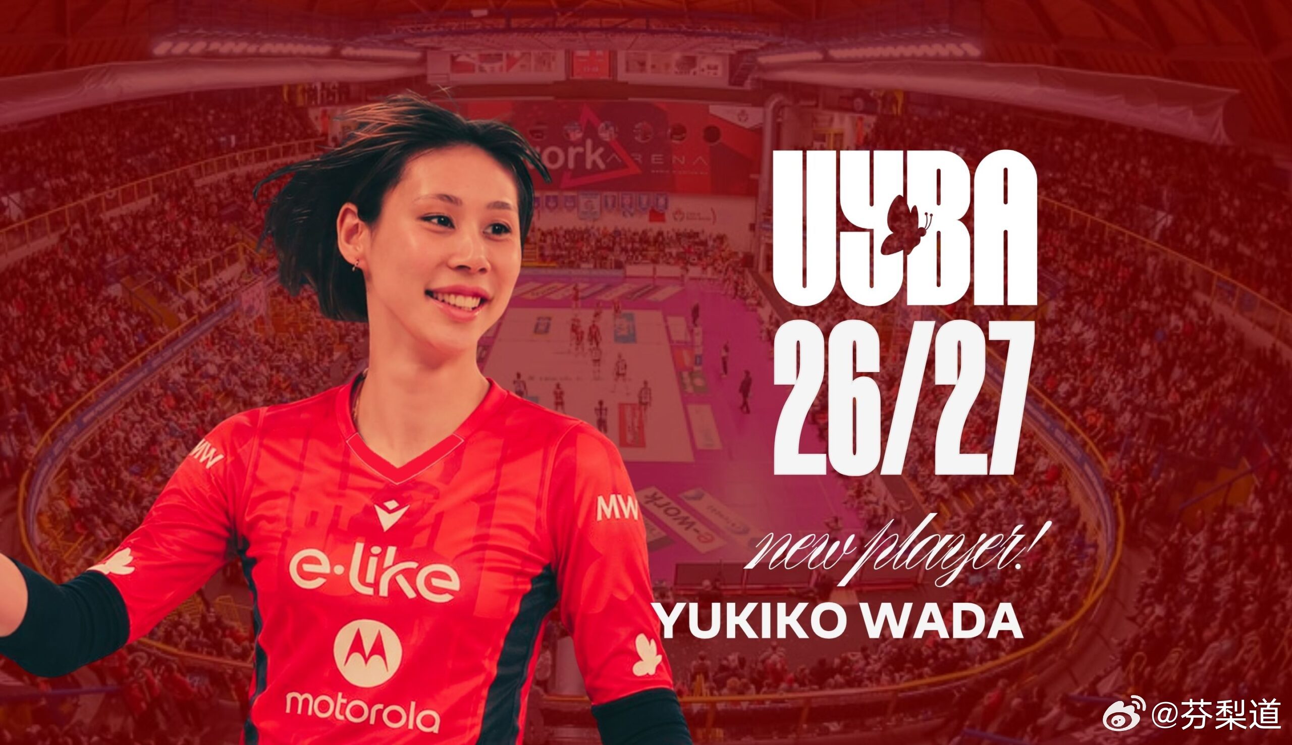国际排坛动态日本女排和田由纪子：“我非常高兴能加入布斯托阿西齐奥，征战2026/