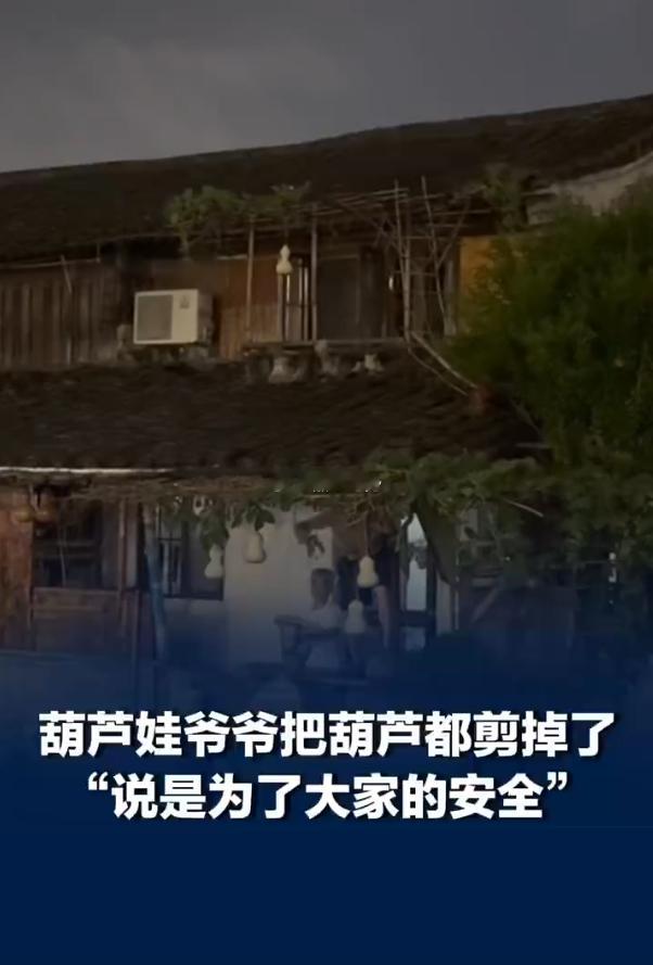 葫芦娃爷爷把葫芦剪掉了目击者发声 担忧游客安全，浙江“葫芦娃爷爷”9月5日晚剪除