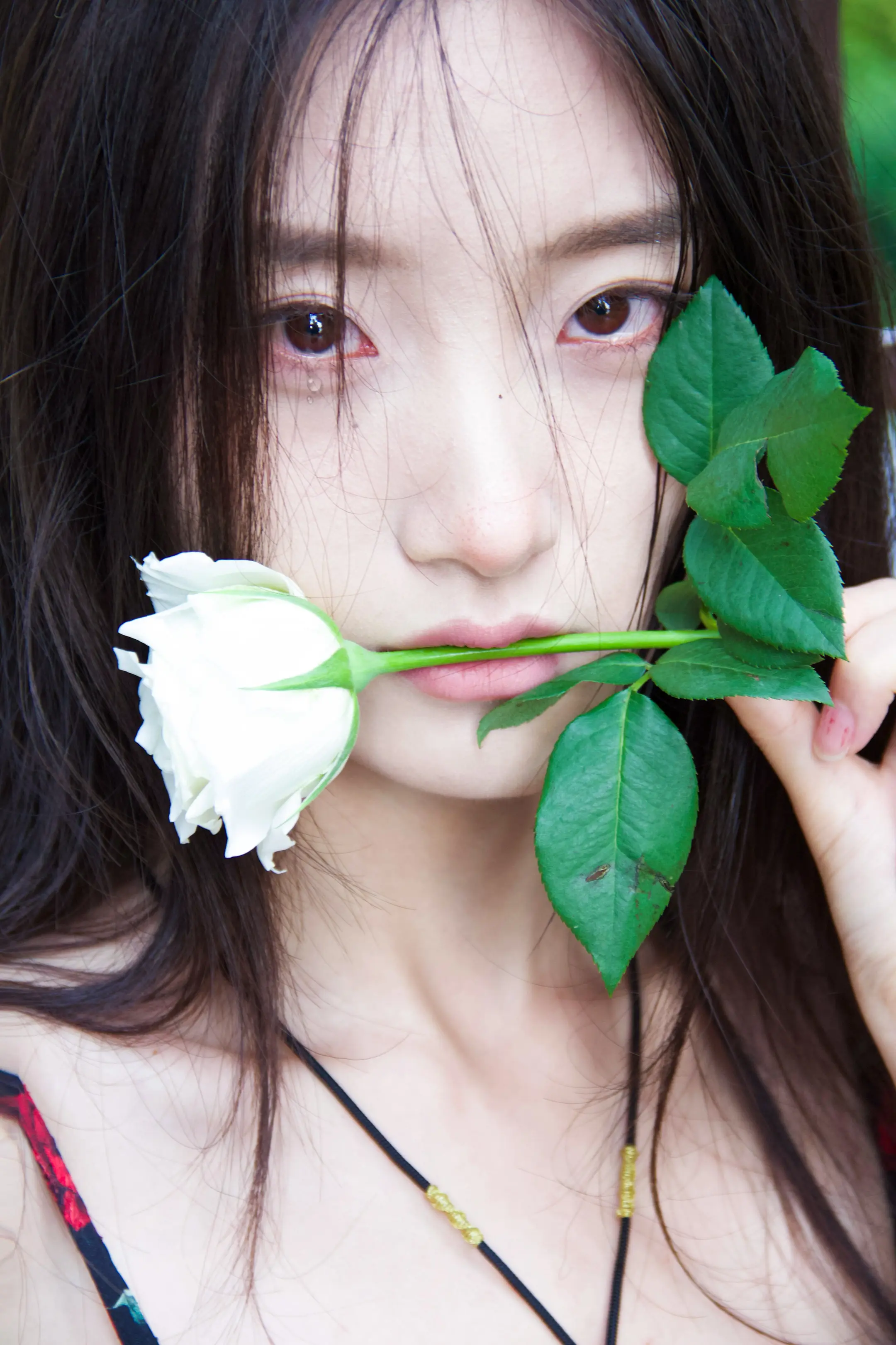 我不愿看到你流泪的眼睛