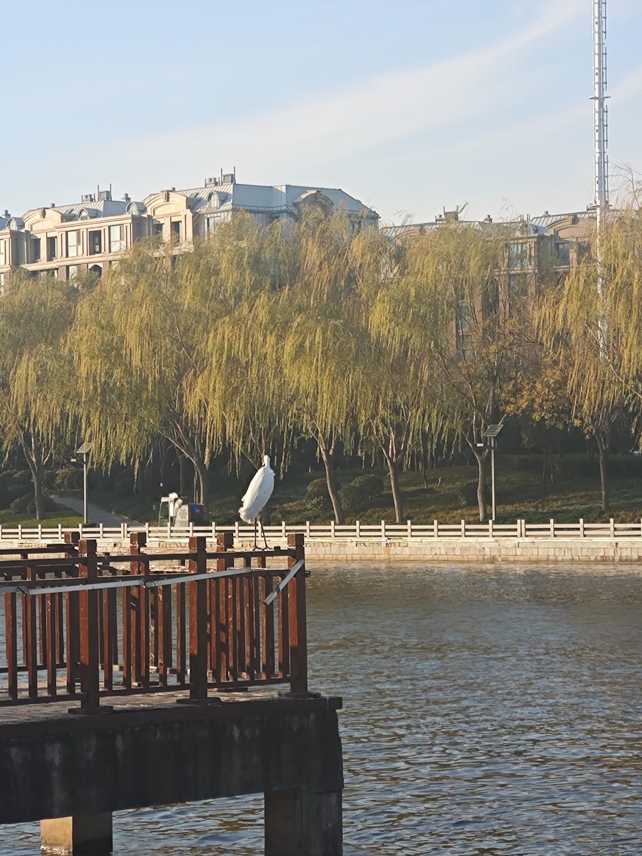 在工作和生活中不要为一些芝麻绿豆的事情心烦气躁。

  在工作和生活中减少因琐事