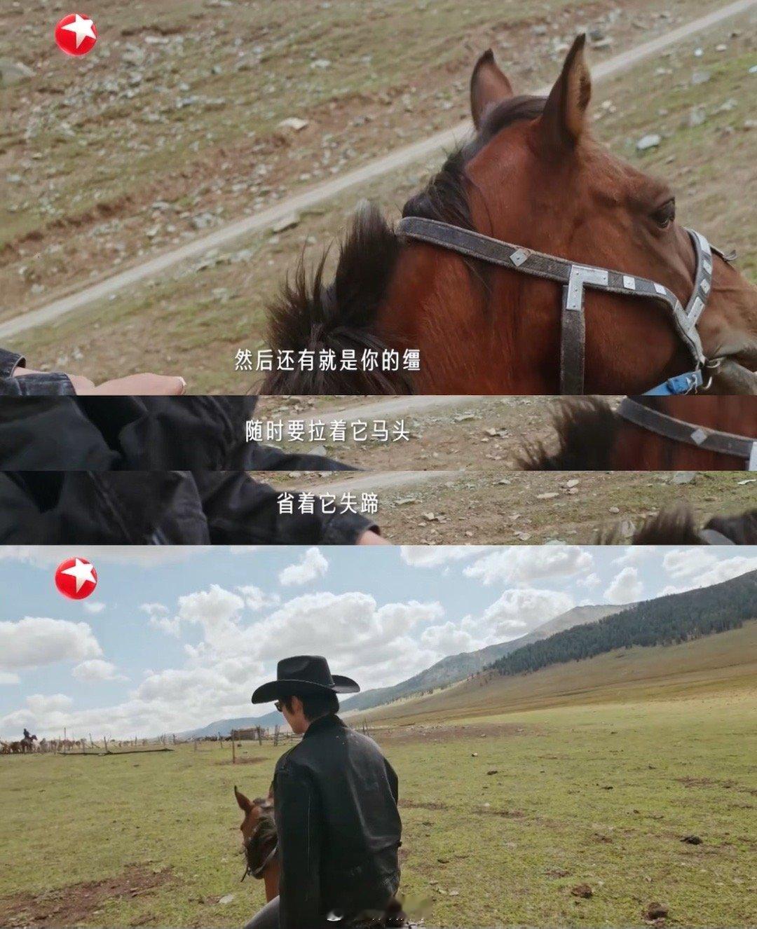 于适救了一马还有一马听谁在唱歌 这段又暖又好笑！刘凤瑶的马先“犯馋”，于适轻声哄