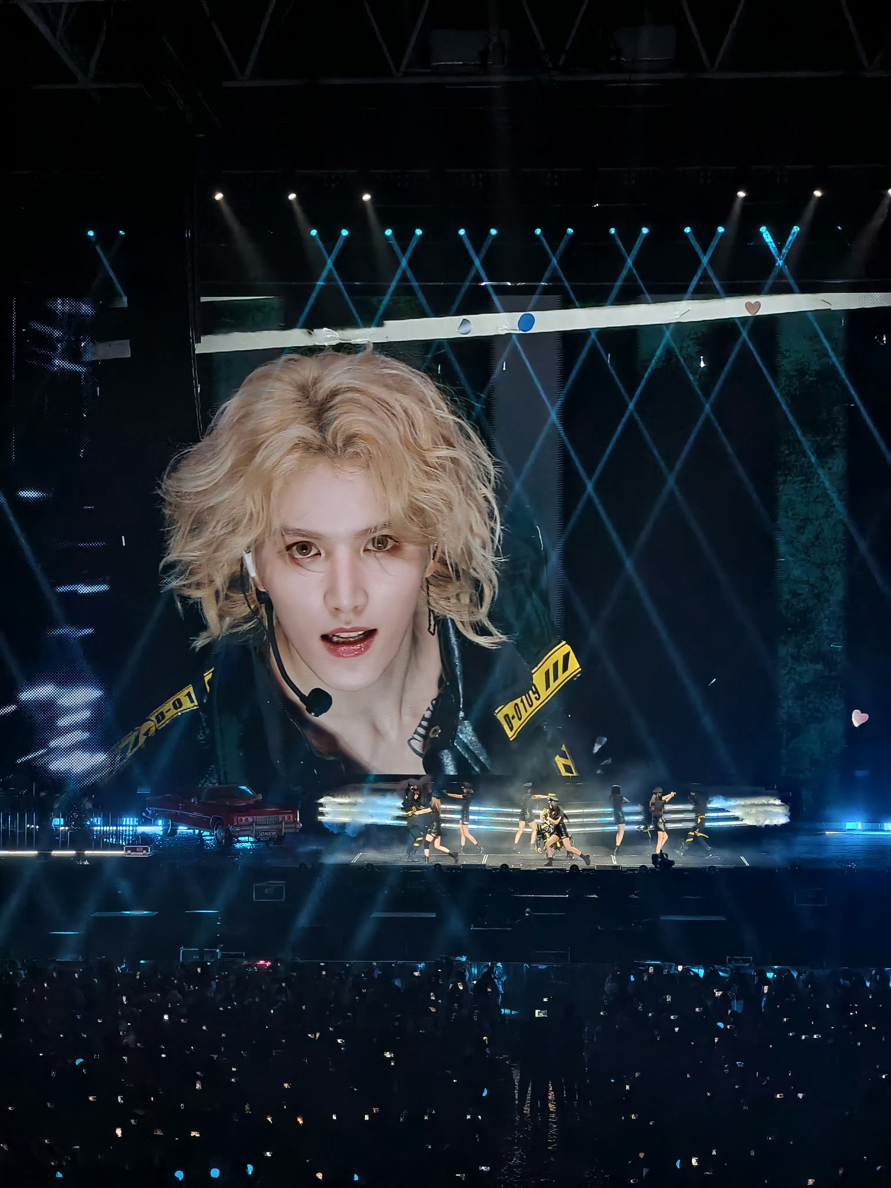 【灵超】金毛幼狮 