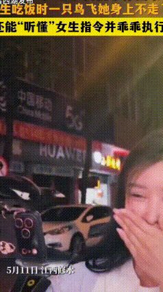 江西修水女子遇天降小鸟！随口一句话，小家伙赖着不走啦
 2026年5月11日
江