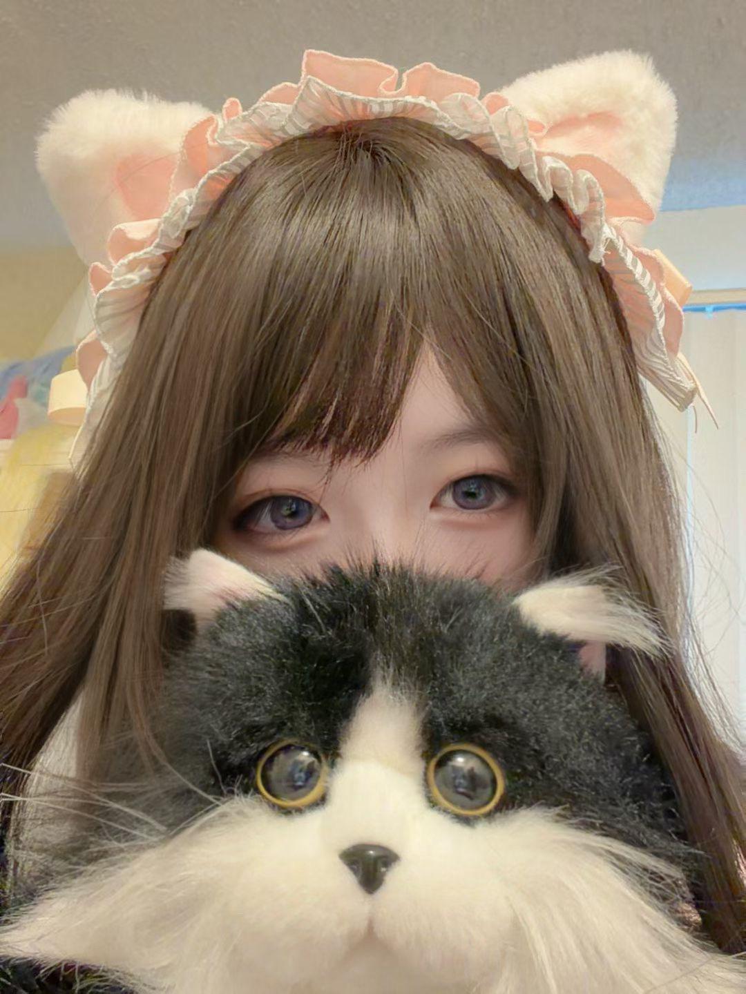 🐱。🐱
