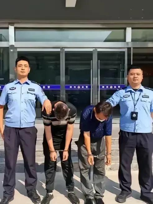 要是不幸被人打了，记住下面这 15 条关键的处理方式。首先，得立刻报警，坚决拒绝
