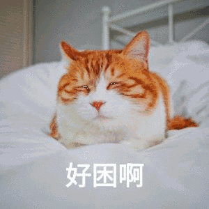 早🥱 